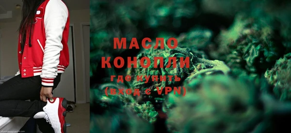 шишки Новодвинск