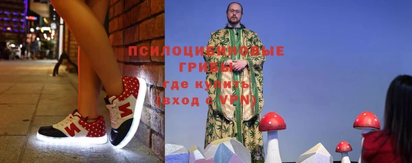 шишки Новодвинск