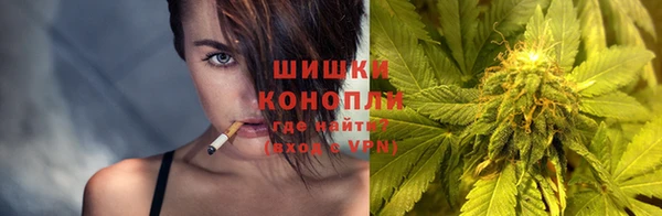 шишки Новодвинск
