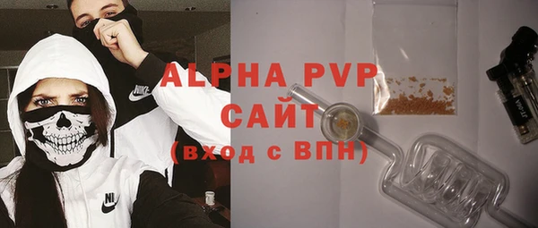 шишки Новодвинск