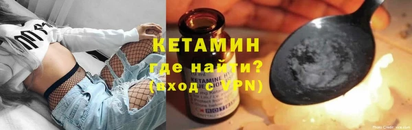 шишки Новодвинск