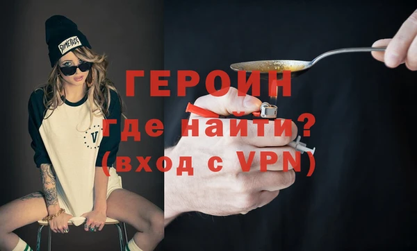 шишки Новодвинск