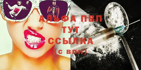 шишки Новодвинск