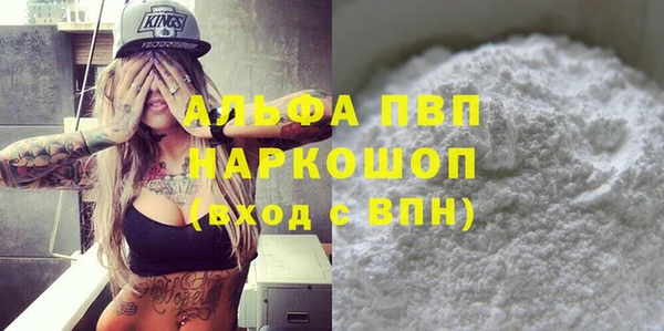 шишки Новодвинск