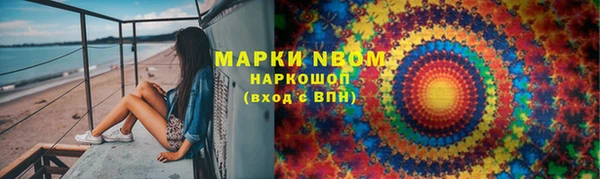 шишки Новодвинск