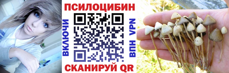 даркнет как зайти  Нефтегорск  Псилоцибиновые грибы Magic Shrooms  купить  цена 