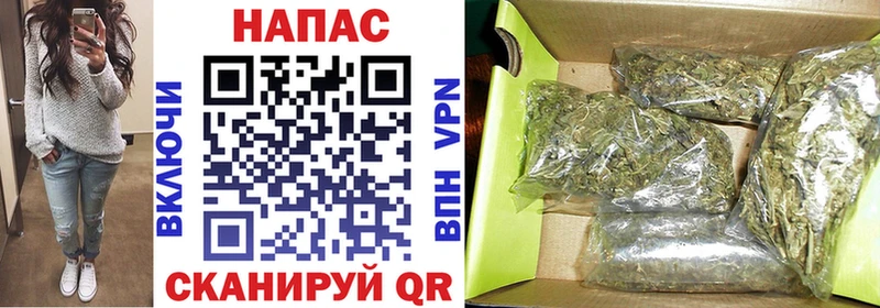 Шишки марихуана сатива  Нефтегорск 